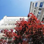 Condor Otel